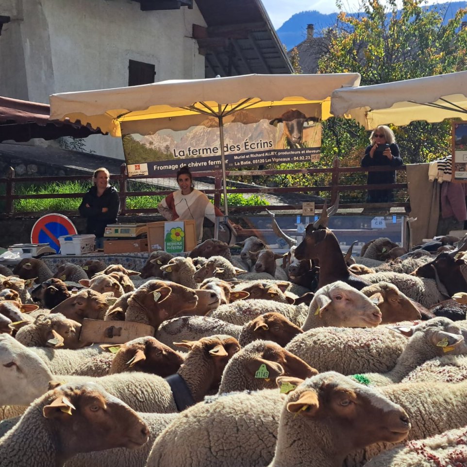 Foire d’automne Vallouise-Pelvoux