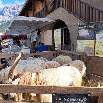 Foire d'automne 2025