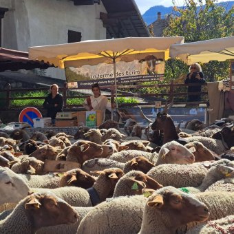Foire d’automne Vallouise-Pelvoux