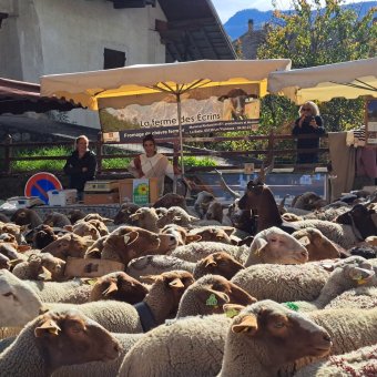 Foire d'automne 2025