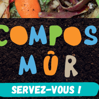 Illustration "compost mûr"