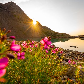 Randonnée pays des écrins
