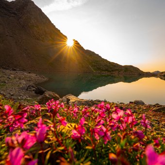 Randonnée au bord d'un lac