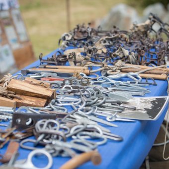 Fête des Guides