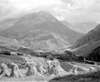 Paysage agraire des Hautes-Alpes